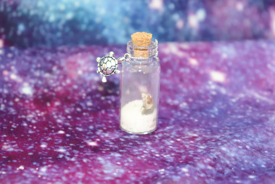 Small Wish Bottle