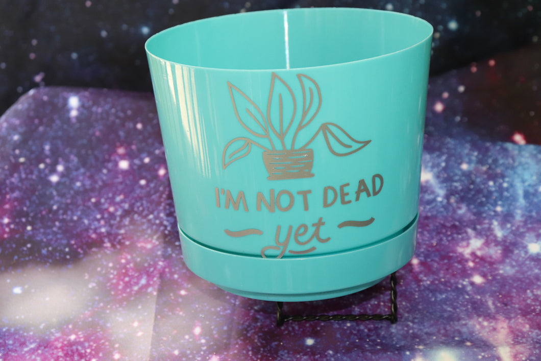 Plastic Planter - Not Dead Yet